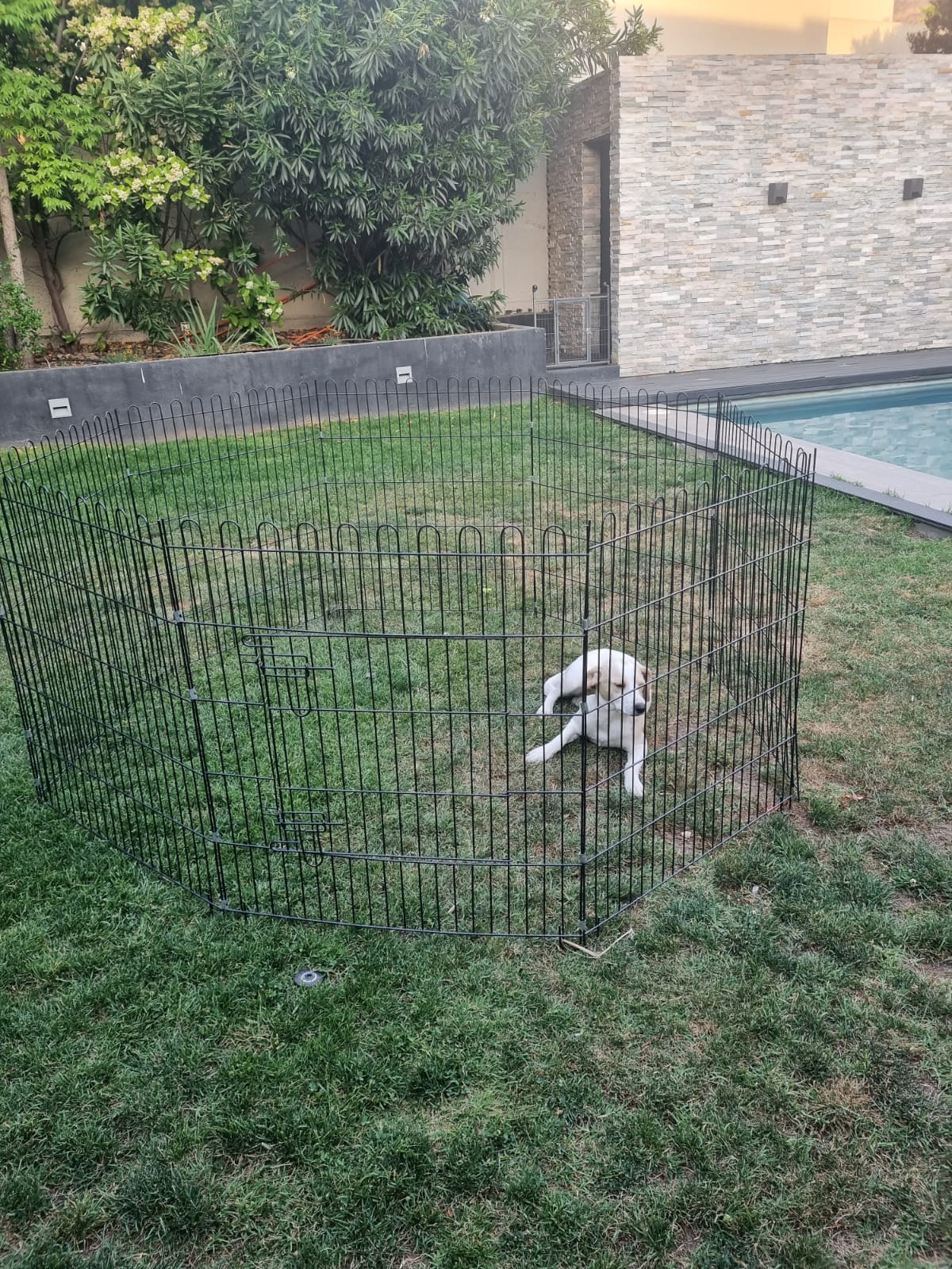 CORRAL PLEGABLE MASCOTAS 3 POSICIONES - GRANDE