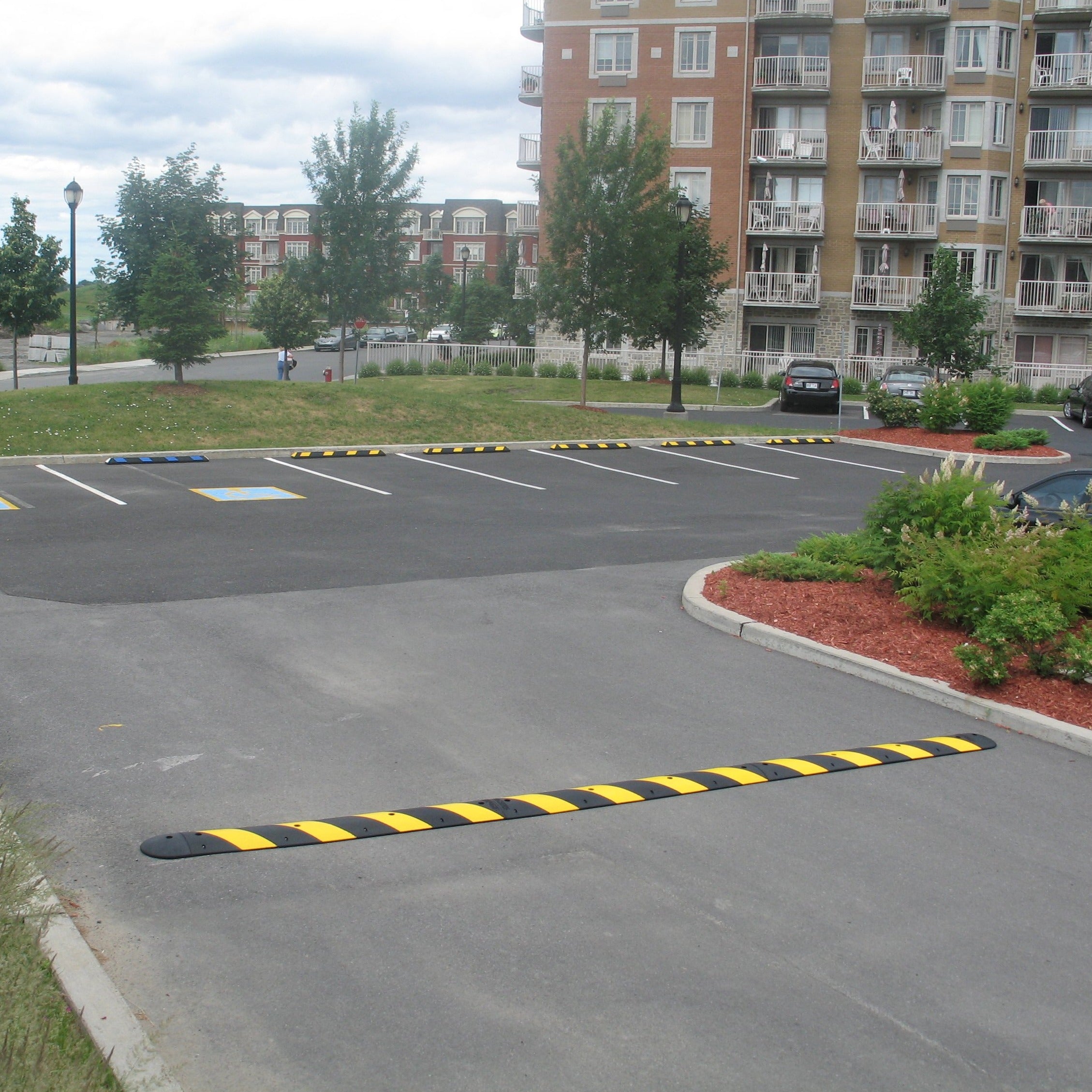 LOMO DE BURRO - LOMADA DE CAUCHO 180 CM