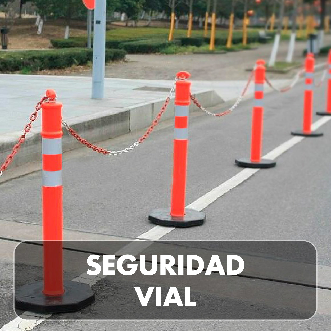 SEGURIDAD VIAL